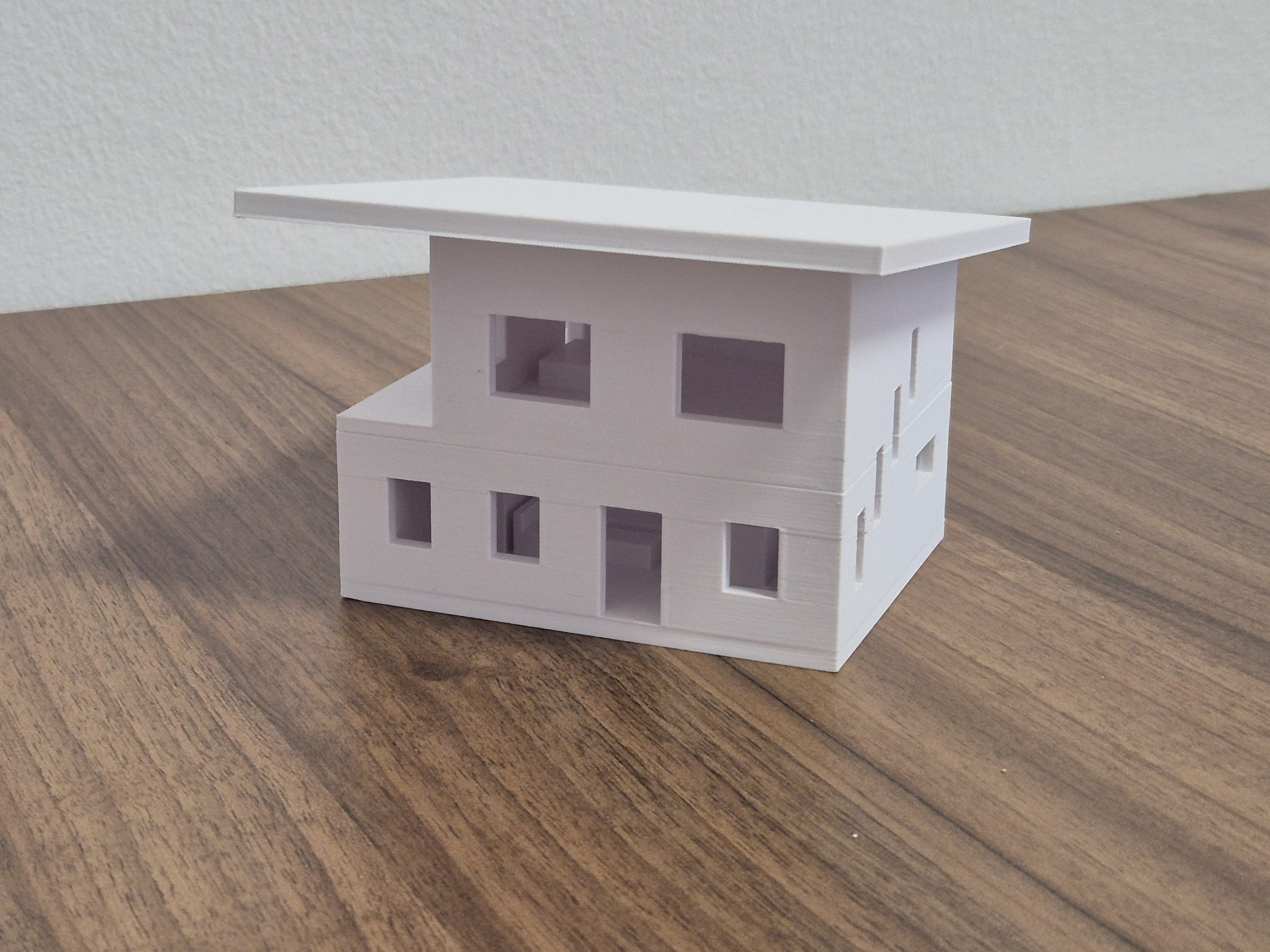 Einfamilienhaus_Pultdach