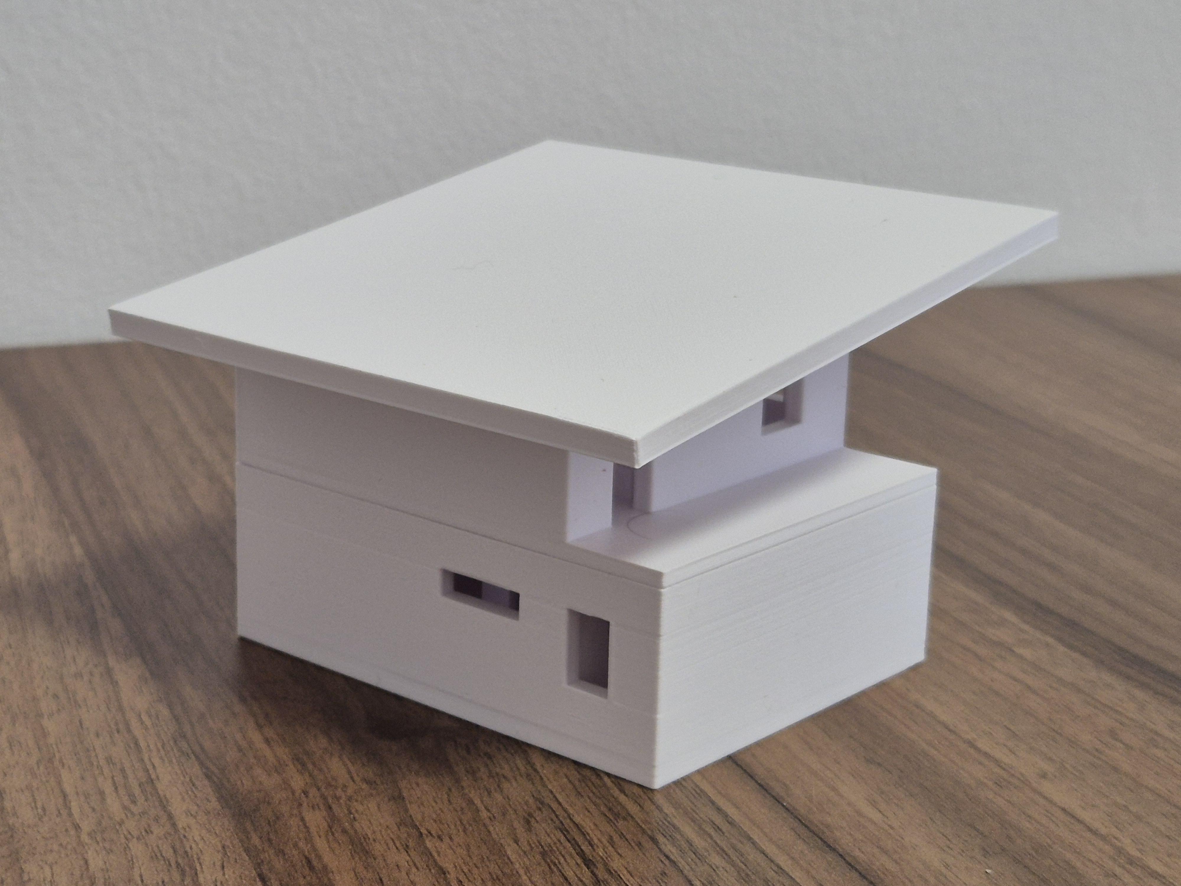 Einfamilienhaus_Pultdach